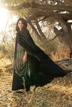 Cloaks><noscript><img width=