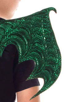 Accessories><noscript><img width=