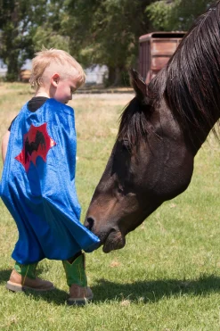 Super Hero><noscript><img width=